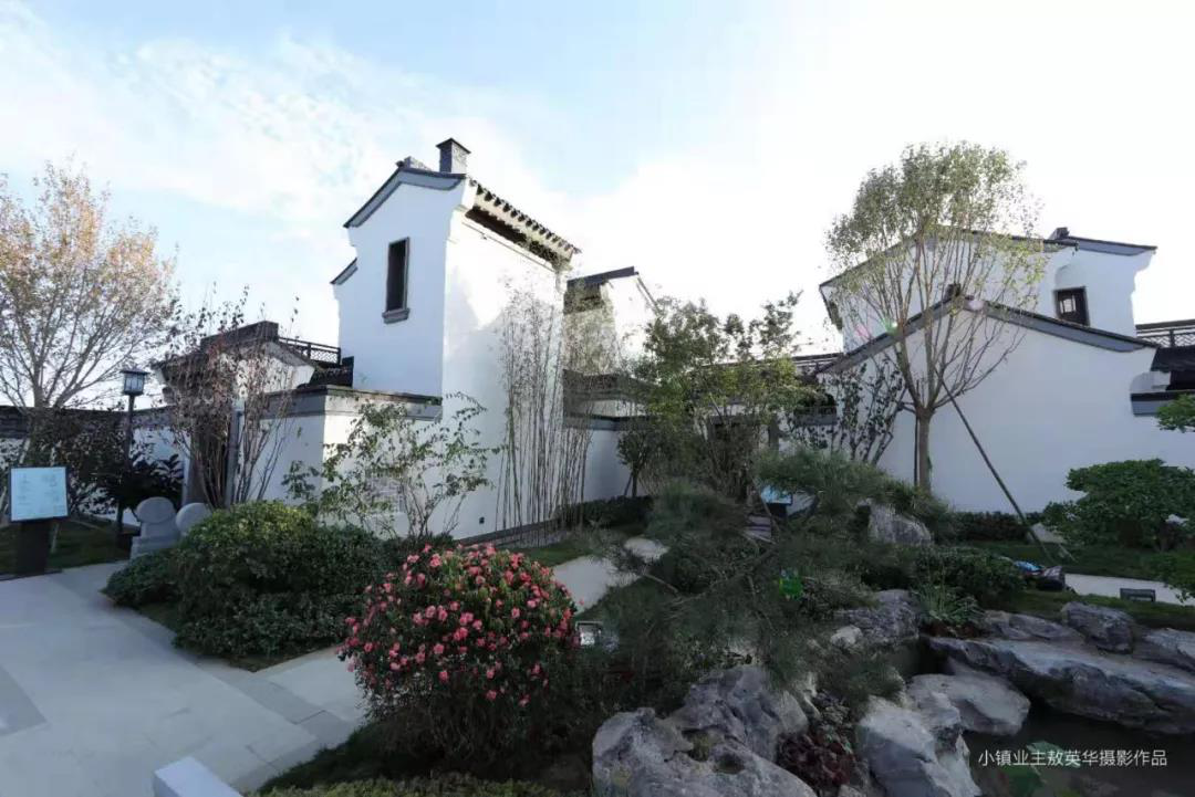 “硬核爆款”实景中式合院惊现东戴河，开启海湾旅居新体验