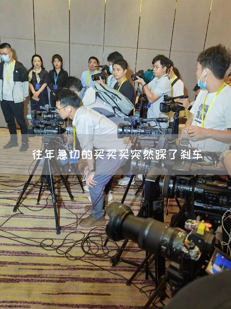 往年急切的买买买突然踩了刹车