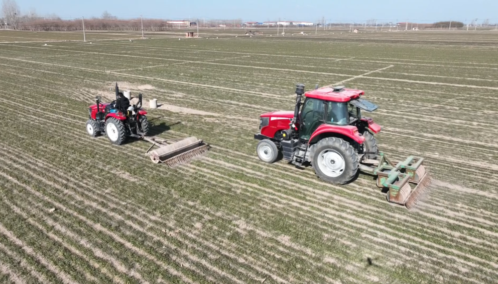 媒体管家官方 ：河北：科技引领小麦田间管理