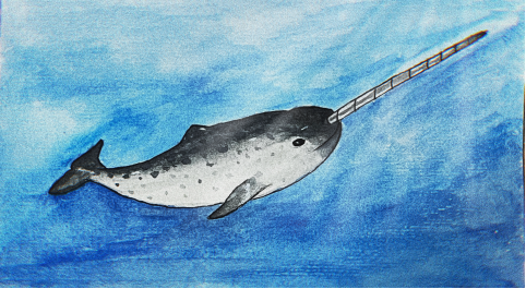 《山海经》的“独角兽”，居然是北极海域的“原住民”？(图5)