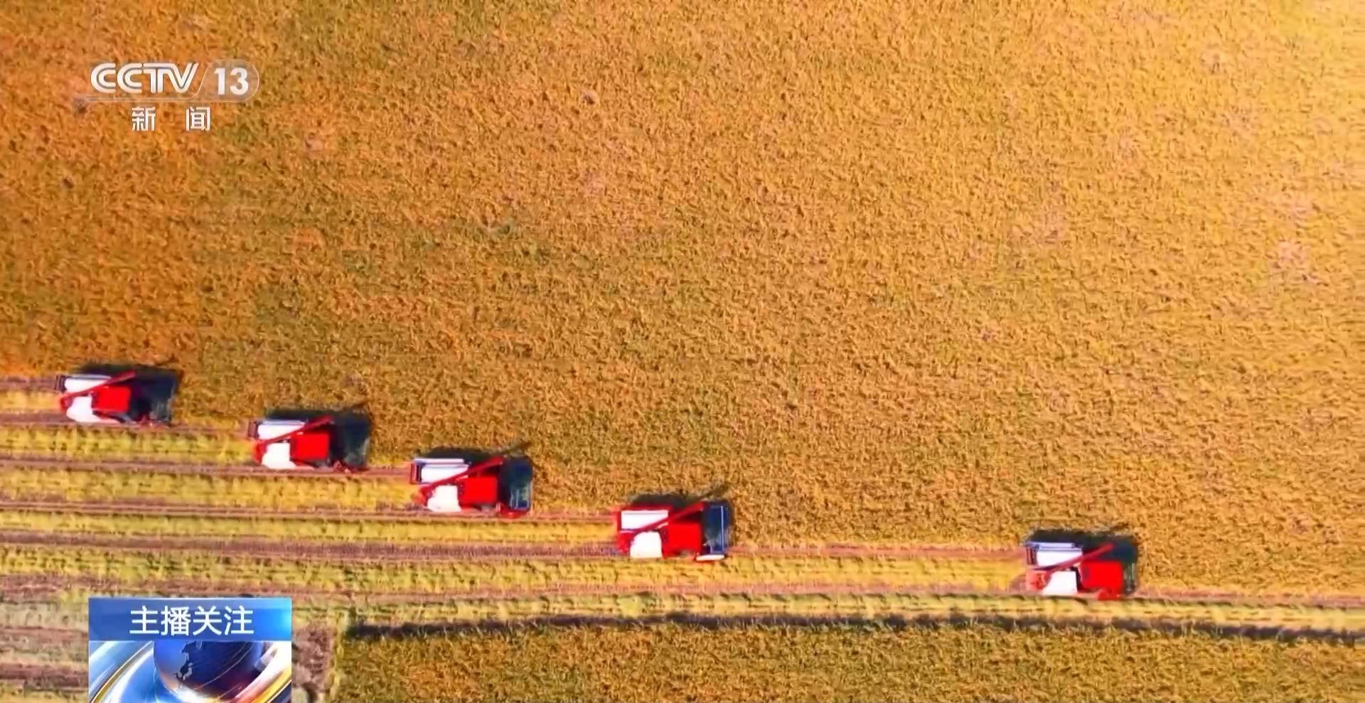 秋收进度超七成！“科技感”为丰产增收按下加速键(图8)