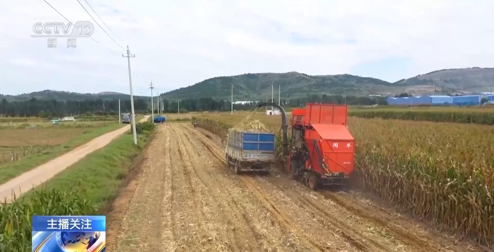 秋收进度超七成！“科技感”为丰产增收按下加速键(图9)