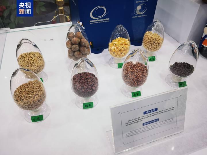 “太空种子”今日交付，太空快递里还有啥(图2)