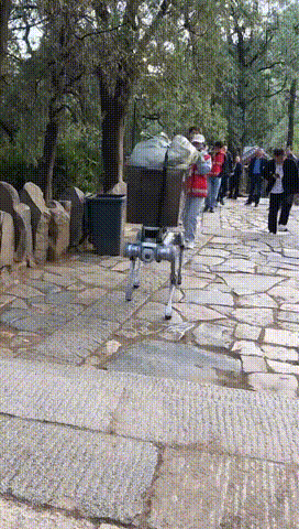 山东一只“机器狗”火遍全网！确实厉害→(图1)