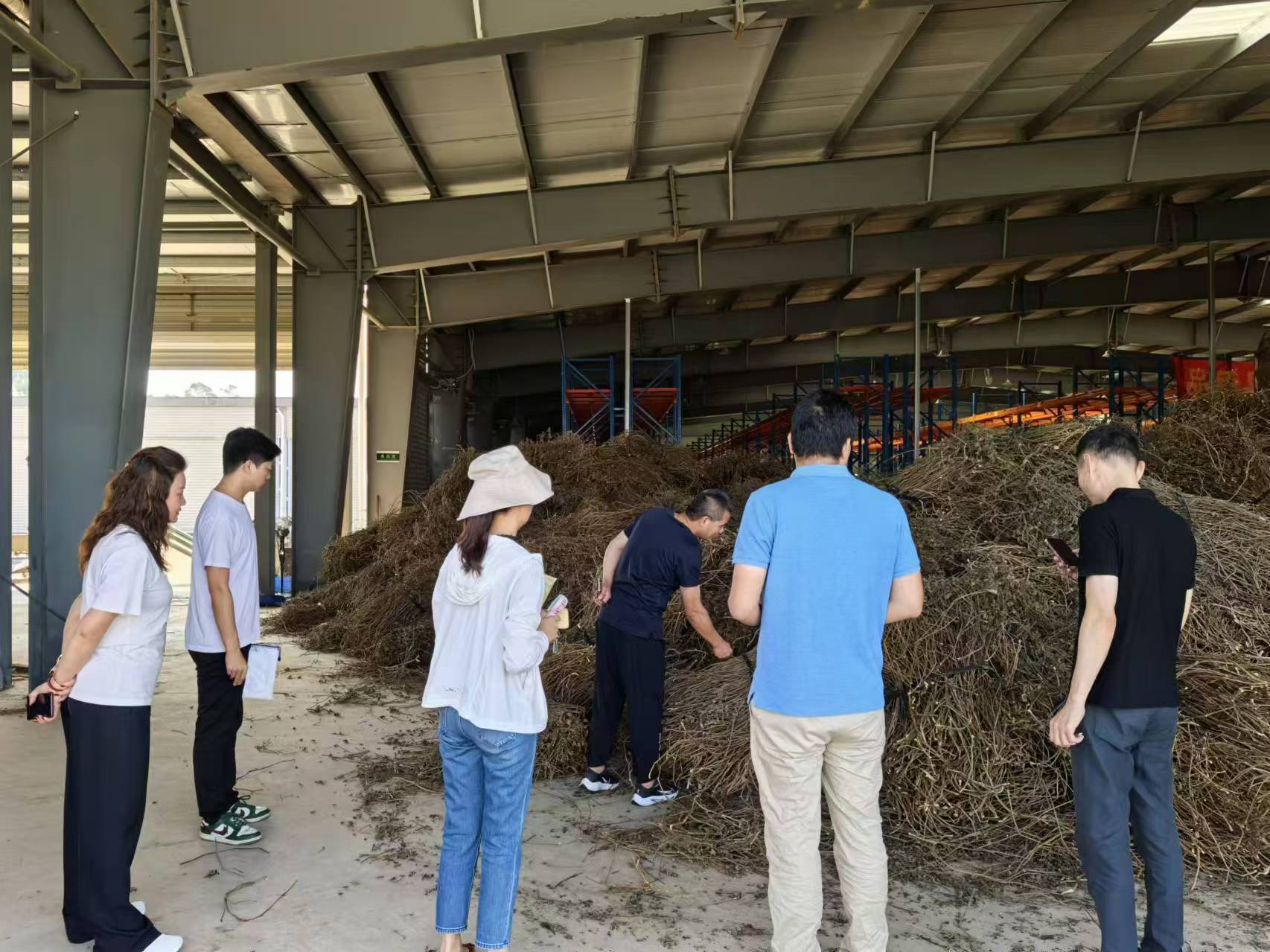 媒体管家： 广州善同科技助力惠来县多个乡镇产业多元化发展(图4)