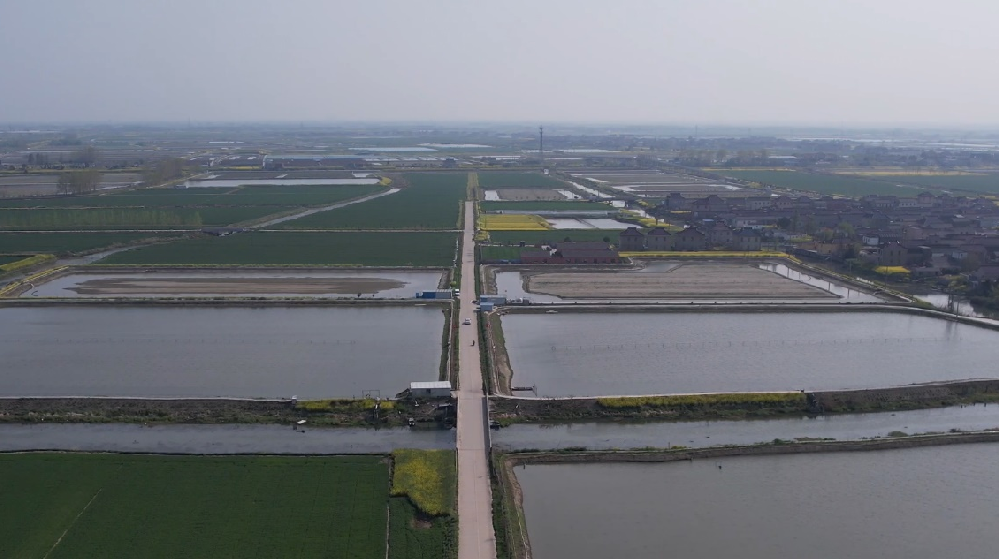 媒体管家： 运满满助力“农村公路+产业”  铺就乡村振兴“快车道”(图1)