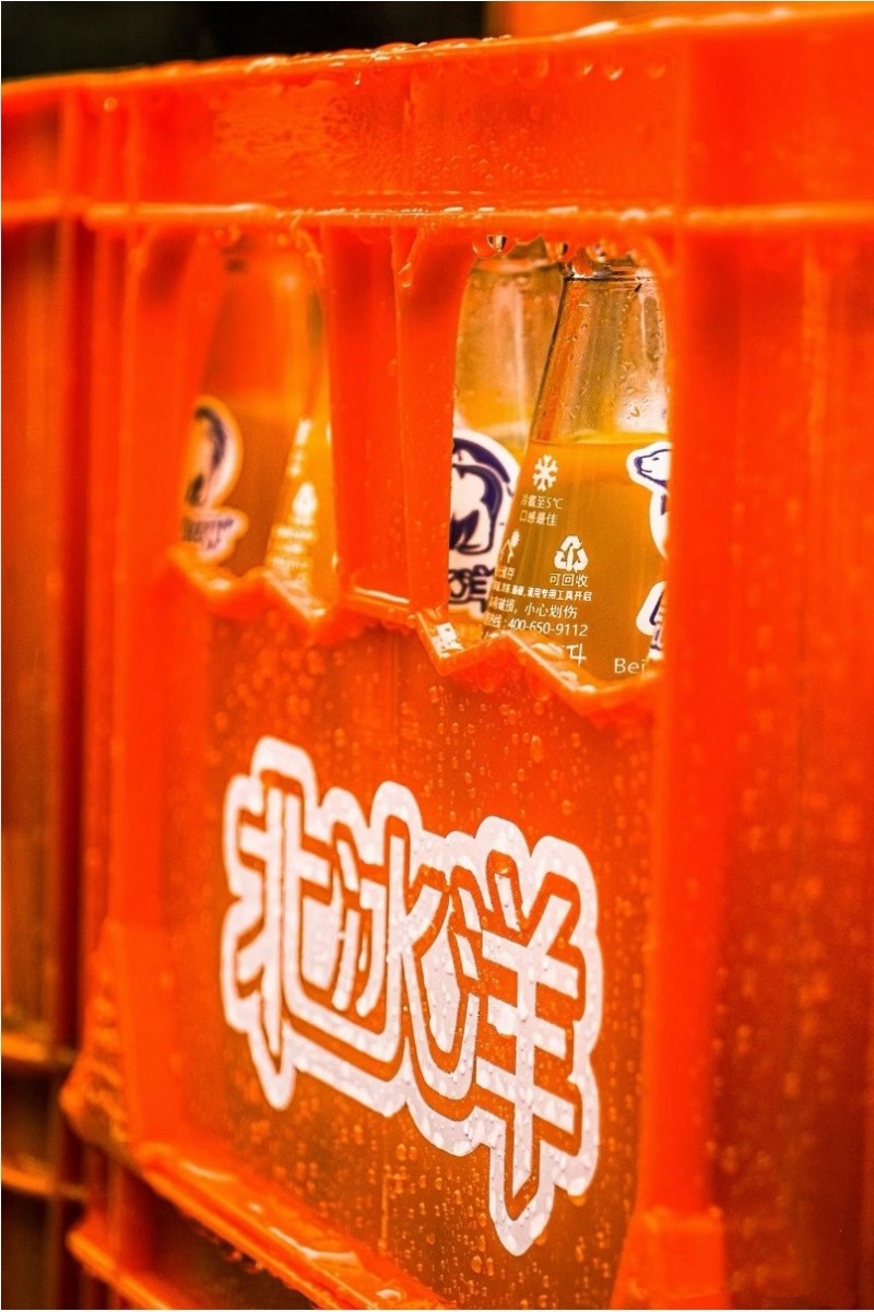 媒体管家： 北极熊大挑战：北冰洋携手欧乐堡动物王国守护冰川(图2)