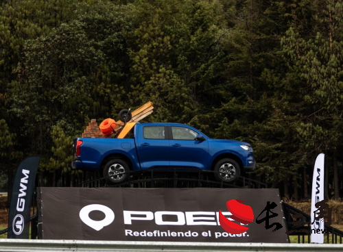 媒体管家： 国内市占率近50% 长城皮卡1-7月全球累计销售超10万辆 蝉联皮卡销冠(图10)