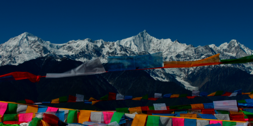 媒体管家： 电影《清道夫》——像冰川一样坚固而永恒的爱(图2)