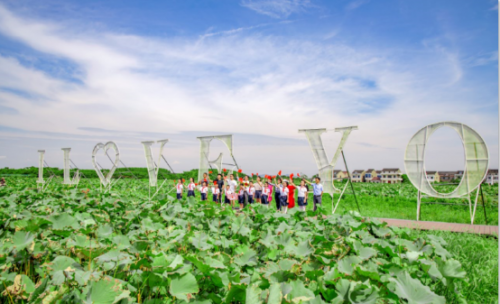 徐舍打造江南水乡特色丰收季，为中国农民丰收节增色(图7)