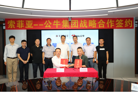 公牛携手索菲亚打造家居用电之美(图1)